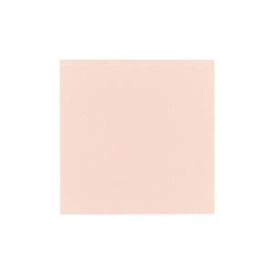 サンフェルト ワンタッチフェルト/シールタイプ 18cm角 RN-22 _5a_