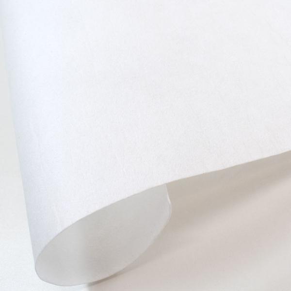 シャープ接着芯 厚（SHP-A-25） 白 09Cx49_