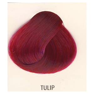 ヘアマニキュア ディレクションズヘアカラー TURIP (H)_1aj｜okadaya-ec