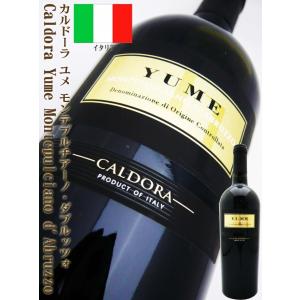 ワイン ＹＵＭＥ ＝夢＝ カルドーラ ユメ モンテプルチアーノ・ダブルッツォ 750ml イタリア赤 フルボディ wine｜okadayasaketen