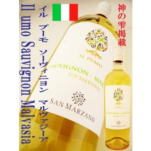 ワイン イル・プーモ ソーヴィニヨン マルヴァジーア 750ml イタリア・白ワイン　辛口 wine｜okadayasaketen
