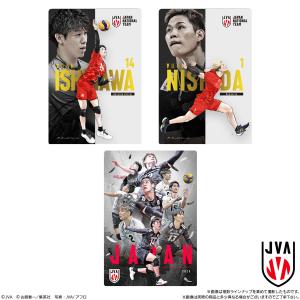 バンダイ JAPAN NATIONAL VOLL...の商品画像