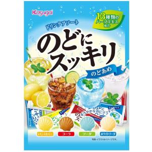 春日井製菓 Nのどにスッキリドリンクアソート 110g×12袋