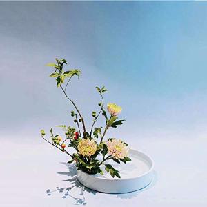 Fukuka 花器 水盤 25CM フラワーベース 花瓶生け花 生け花用花器 陶器花入れ いけばな道具 華道用花器