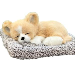 とても人気のある50〜60年代のシュタイフのプードルのぬいぐるみです