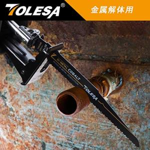 TOLESA レシプロソー替刃 8/10山 2...の詳細画像3