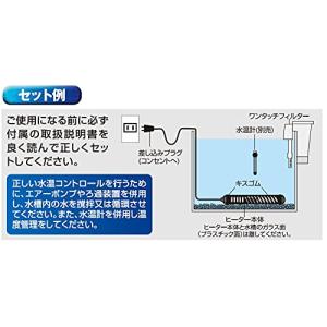 テトラ (Tetra) テトラ 26*セットヒ...の詳細画像2