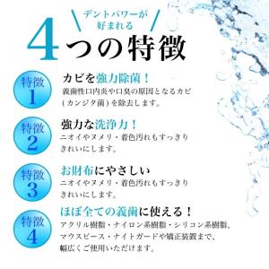 デントパワー 入れ歯洗浄剤10ヶ月【ケースなし...の詳細画像2