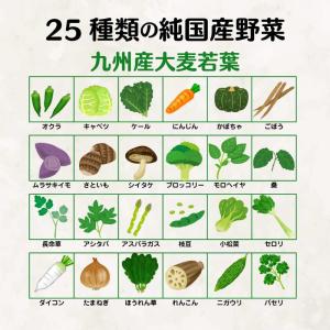 【特典あり】日本薬健 金の青汁【お試し40包・...の詳細画像3