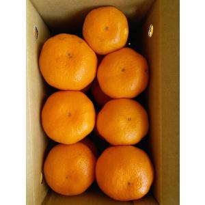 有田みかん　岡喜　農家直送「極早生みかん」 サイズ混合　 約２ｋｇ　送料無料（但し一部地域を除く）