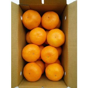 有田　岡喜　早生みかん 約2ｋｇ（サイズ混合）（送料無料（但し一部地域を除く））