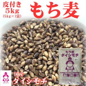 皮付き もち麦 ダイシモチ 5kg (5kg×1袋) 岡山県産 送料無料｜okaman