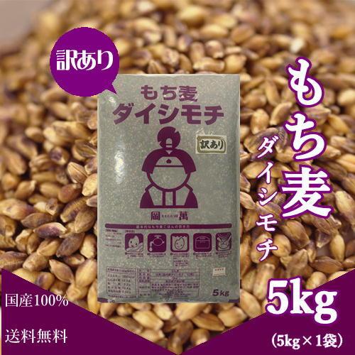 【訳あり】 もち麦 ダイシモチ 5kg (5kg×1袋) 紫もち麦 岡山県産 送料無料