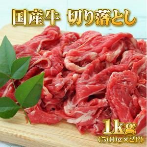 国産 牛肉 切り落とし 1kg (500g×2パック) 送料無料 【北海道・沖縄は別途送料770円加算】【冷凍便発送】【代金引換不可】