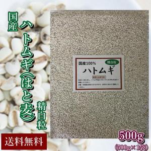 岡萬 新麦 令和8年産 ダイシモチ 10kg (5kg×2袋) 紫もち麦