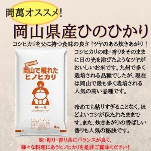 【在庫処分価格】令和7年産 精米 20kg ひ...の詳細画像1