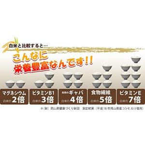 【在庫処分価格タイムセール中!】令和7年産 ひ...の詳細画像4