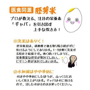 【在庫処分価格タイムセール中!】令和7年産 ひ...の詳細画像5