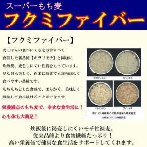 スーパーもち麦 フクミファイバー 20kg (...の詳細画像3
