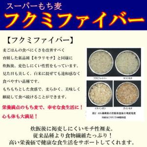 スーパーもち麦 フクミファイバー (950g×...の詳細画像3