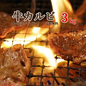 牛カルビ肉 焼肉 3kg (500g×6パック)  ※北海道沖縄は別途770円