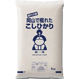 【在庫処分価格】令和7年産 コシヒカリ 5kg...の詳細画像1