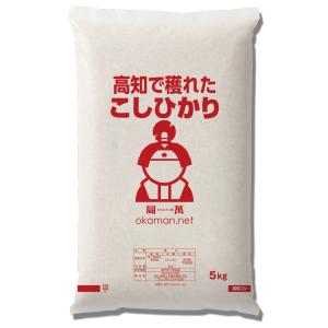 【新米 令和8年産】 コシヒカリ 20kg (...の詳細画像1