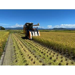 【新米 令和8年産】 コシヒカリ 20kg (...の詳細画像4