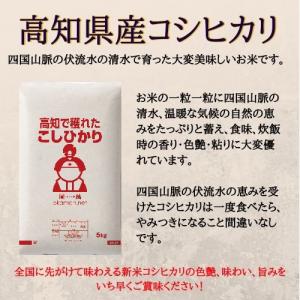 令和7年産 コシヒカリ 5kg (5kg×1袋...の詳細画像1