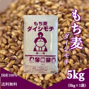 国産 もち麦 ダイシモチ 5kg 紫もち麦