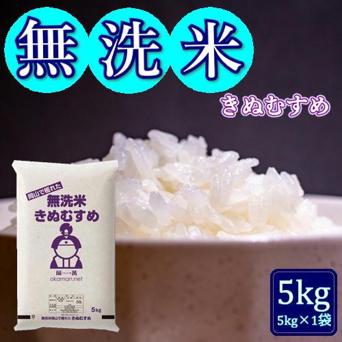 【在庫処分価格】無洗米 令和7年産 きぬむすめ 5kg(5kg×1袋) 岡山県産 米 お米 送料無料