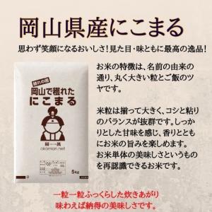【在庫処分価格】令和7年産 にこまる 10kg...の詳細画像2