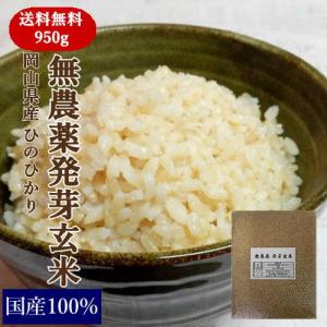 無農薬 発芽玄米 950g 岡山県産 ひのひかり