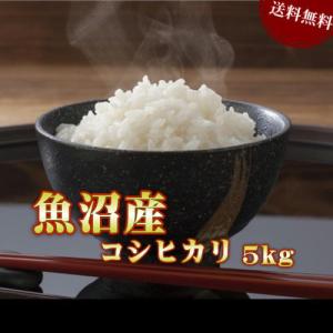 米 お米 5kg 魚沼産 コシヒカリ (5kg×1袋) 令和3年産 送料無料
