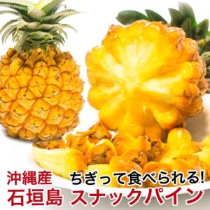 スナックパイン 石垣島産 沖縄 パイナップル 500g〜800g