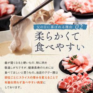 父の日 アグー豚 あぐー豚 グルメ ギフト 沖...の詳細画像4