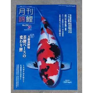 錦鯉の本◆錦鯉専門誌『月刊錦鯉』　■送料別■｜okamoto-nishikigoi