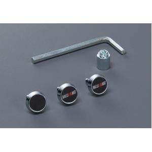 三菱（MITSUBISHI） (ZT)ラゲッジインナープレート(ステンレス製)左右