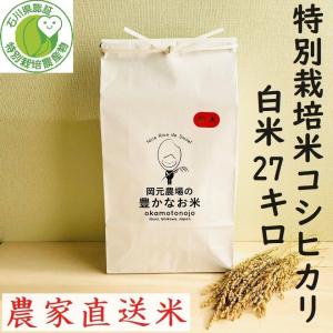 令和３年産　特別栽培米コシヒカリ　27kg　精白米　一等米　石川県産　50％以上農薬減　100％有機肥料　安心安全　生産農家　農家直送米　送料込み｜okamotonojostore