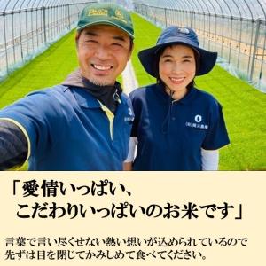 令和7年産 コシヒカリ お米 5kg 玄米 精...の詳細画像2