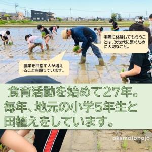 令和7年産 コシヒカリ お米 30kg 玄米 ...の詳細画像5