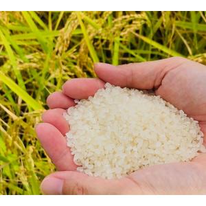 令和7年産 ゆめみづほ お米 一等米 30kg...の詳細画像3