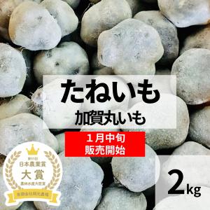クール便　加賀丸いも　たねいも　家庭用　2キロ　丸いも生産農家　