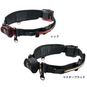DAIWA（ダイワ） 【目玉商品】ダイワ エメラルダス EX AGS 84.5M-T (旧