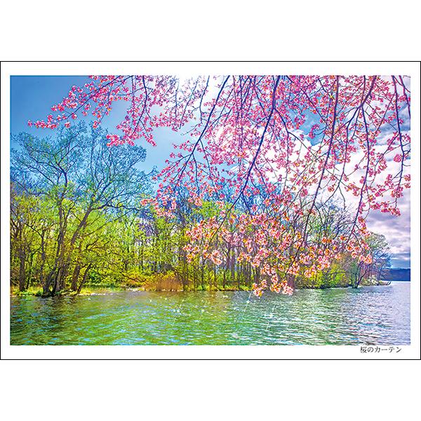 桜のカーテン