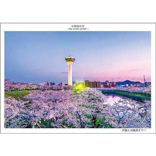 五稜郭タワー桜
