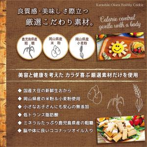 倉敷おからクッキー★ココナッツ★サクサクココナ...の詳細画像3