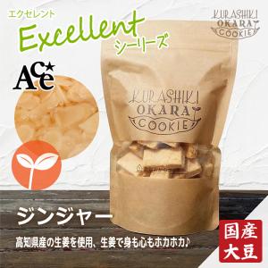 倉敷おからクッキー★ジンジャー★高知県産の生姜を使用、身も心もホカホカに♪