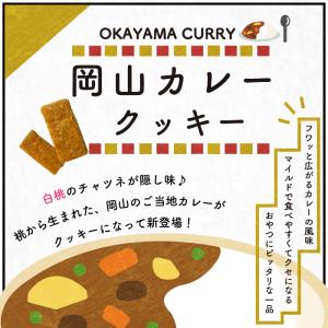 倉敷おからクッキー★岡山米粉カレー★岡山県産の...の詳細画像1