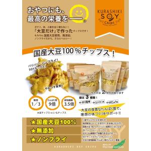 国産大豆の倉敷ソイチップス ゆずこしょう味90...の詳細画像3